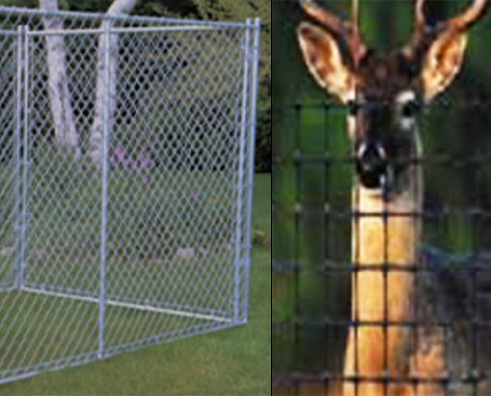 dog runs and deer fences